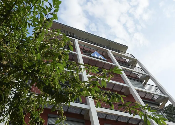 유겐트헤르베르게 - 하우스 데어 유겐트 프랑크푸르트